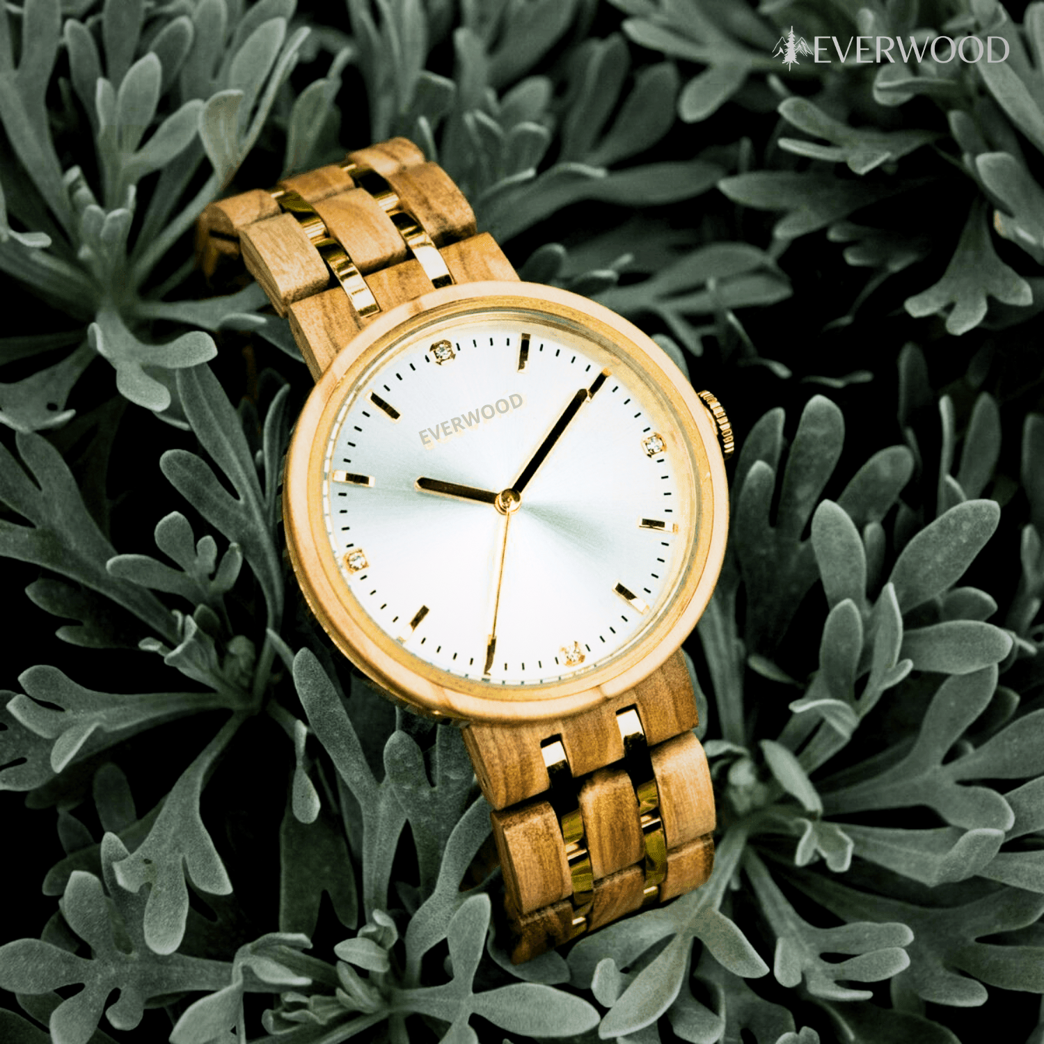 EverWood™ - Rose White 38mm